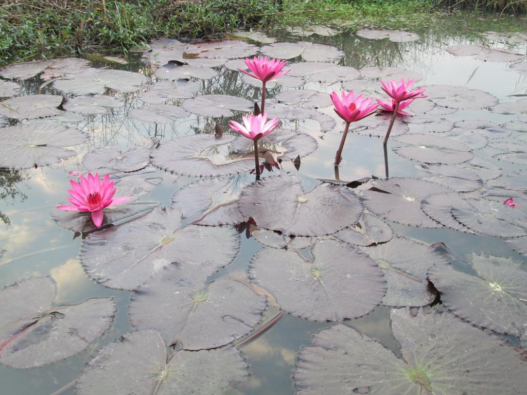 Sukhothai City Resort Buitenkant foto